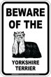 画像2: [MAGSIGN] ヨークシャーテリア 注意 英語 マグネット＆ステッカー BEWARE OF THE YORKSHIRE TERRIER 車/屋外用 日本製 (2)