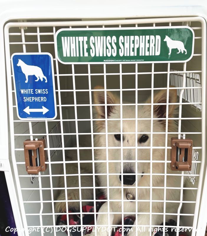 WHITE SWISS SHEPHERD,ホワイトスイスシェパード,マグネット,ステッカーアメリカ道路標識,,ストリート,緑色,グリーン